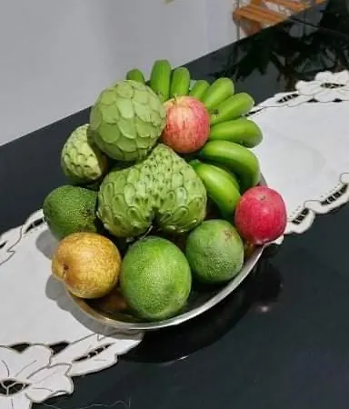 D Henriques House Villa Câmara de Lobos