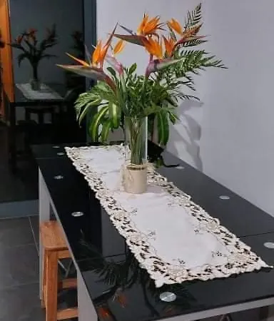 וילה D Henriques House *